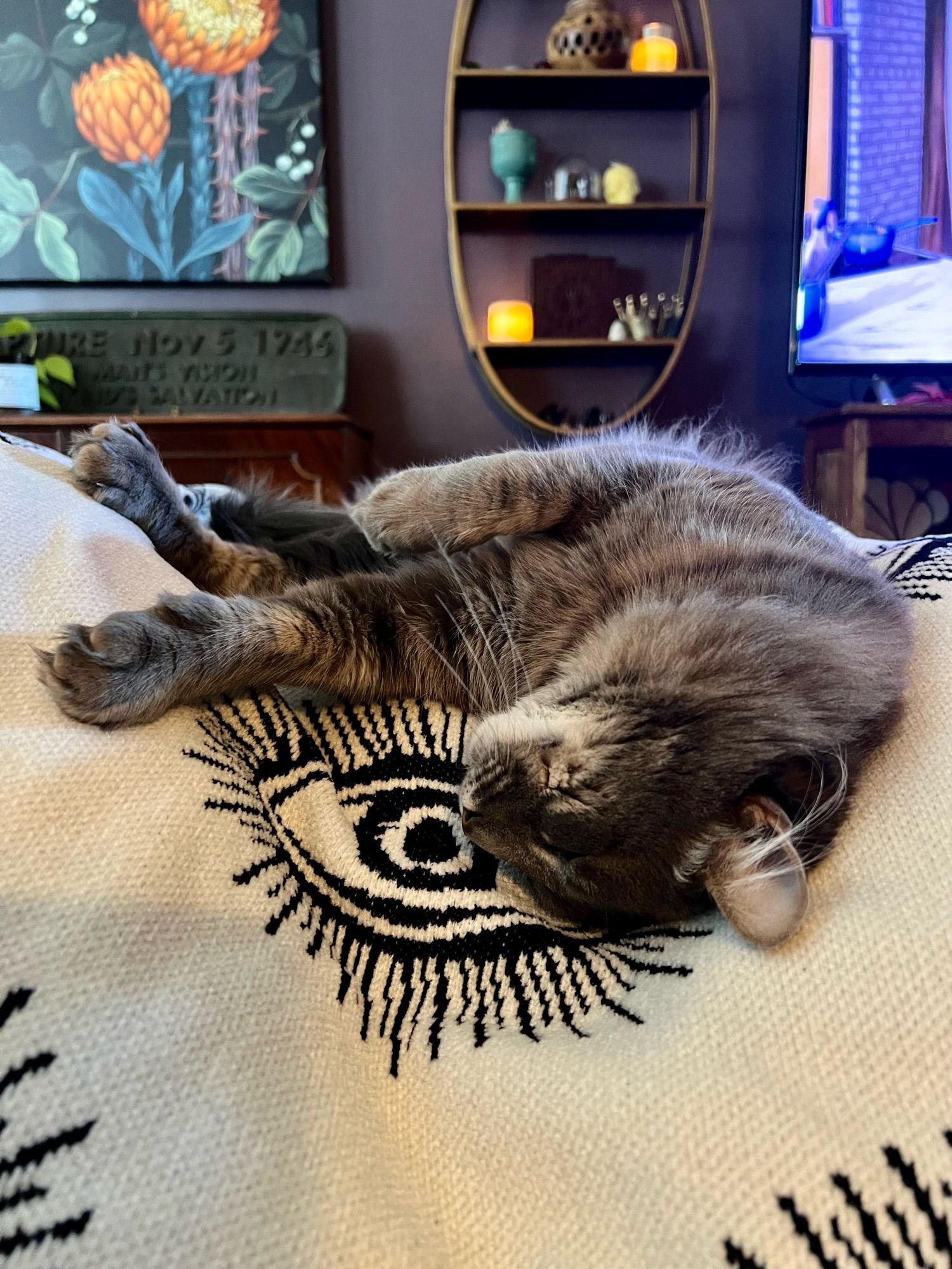 Fluffy gray tabby with his head hanging off the side of a white blanket with a black evil eye ward design