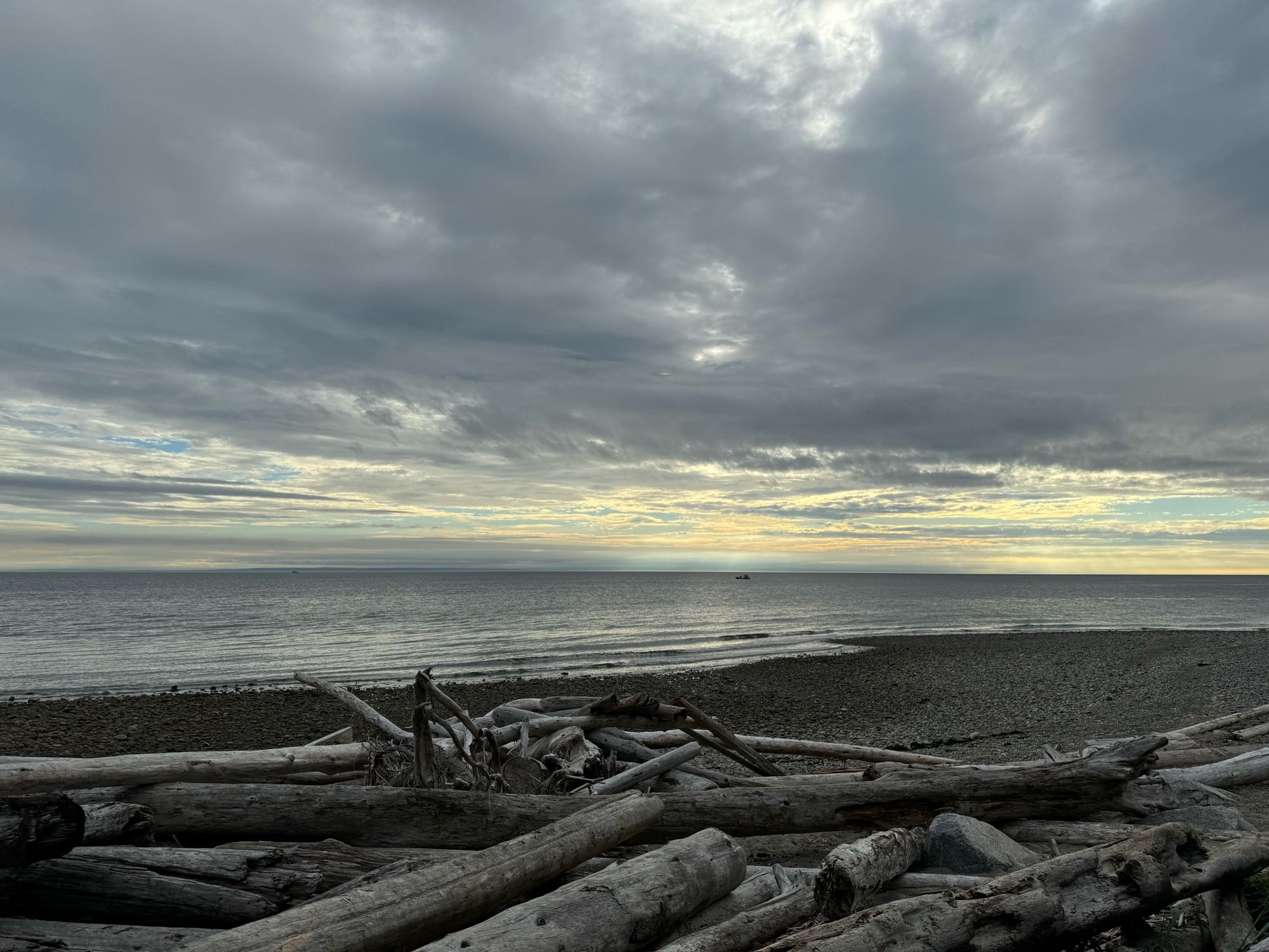 Logs on a rocky beach, in front of the ocean. A partially cloudy sky & the beginning of sunset.