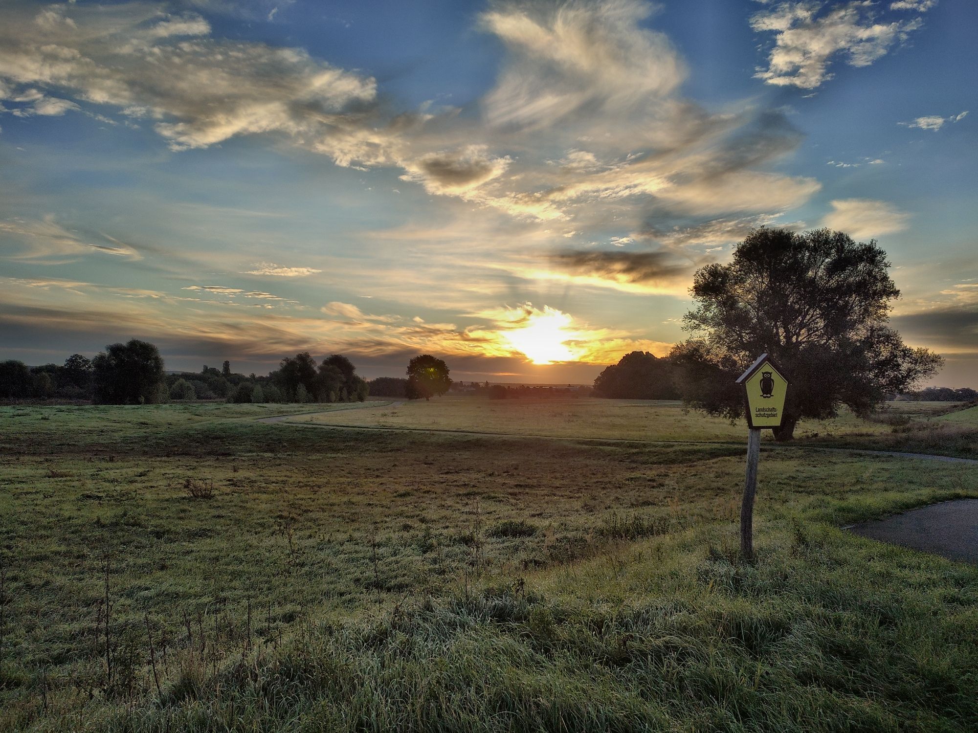 Foto einer Wiese in der Morgendämmerung, im Hintergrund Bäume, dahinter geht gerade die Sonne auf. Rechts ein Stück vom Elberadweg