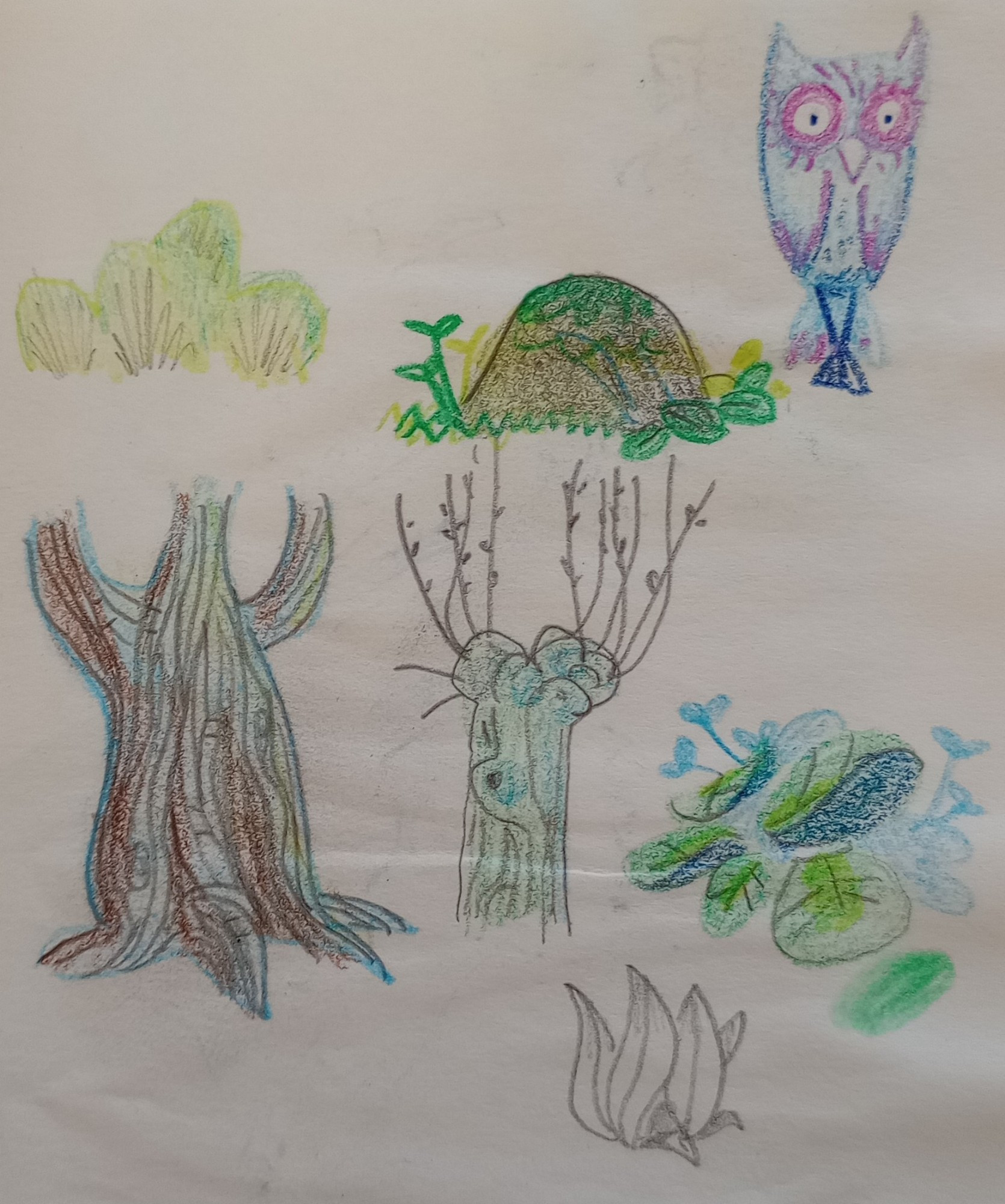 Colour and art studies of stylised trees and plants