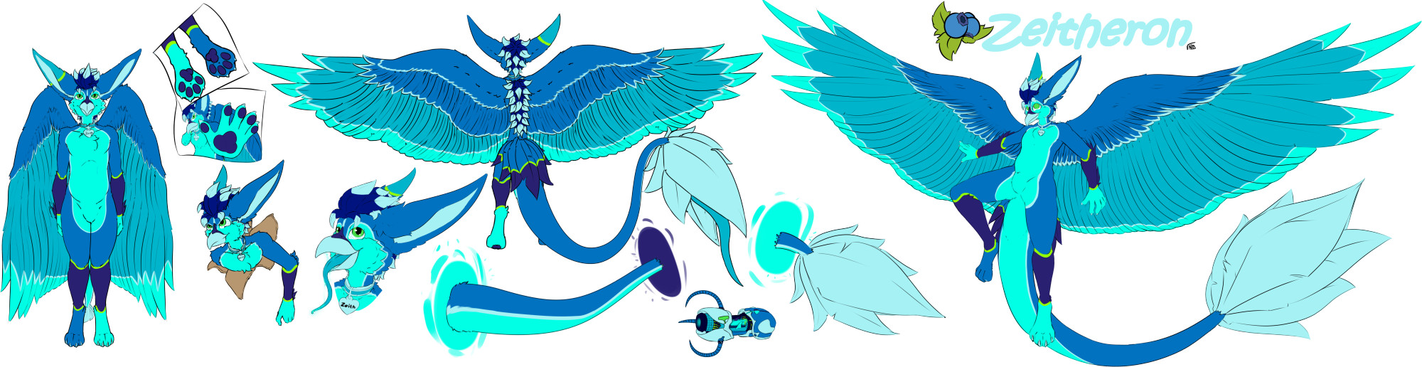 Gryphon reference sheet of Zeitheron