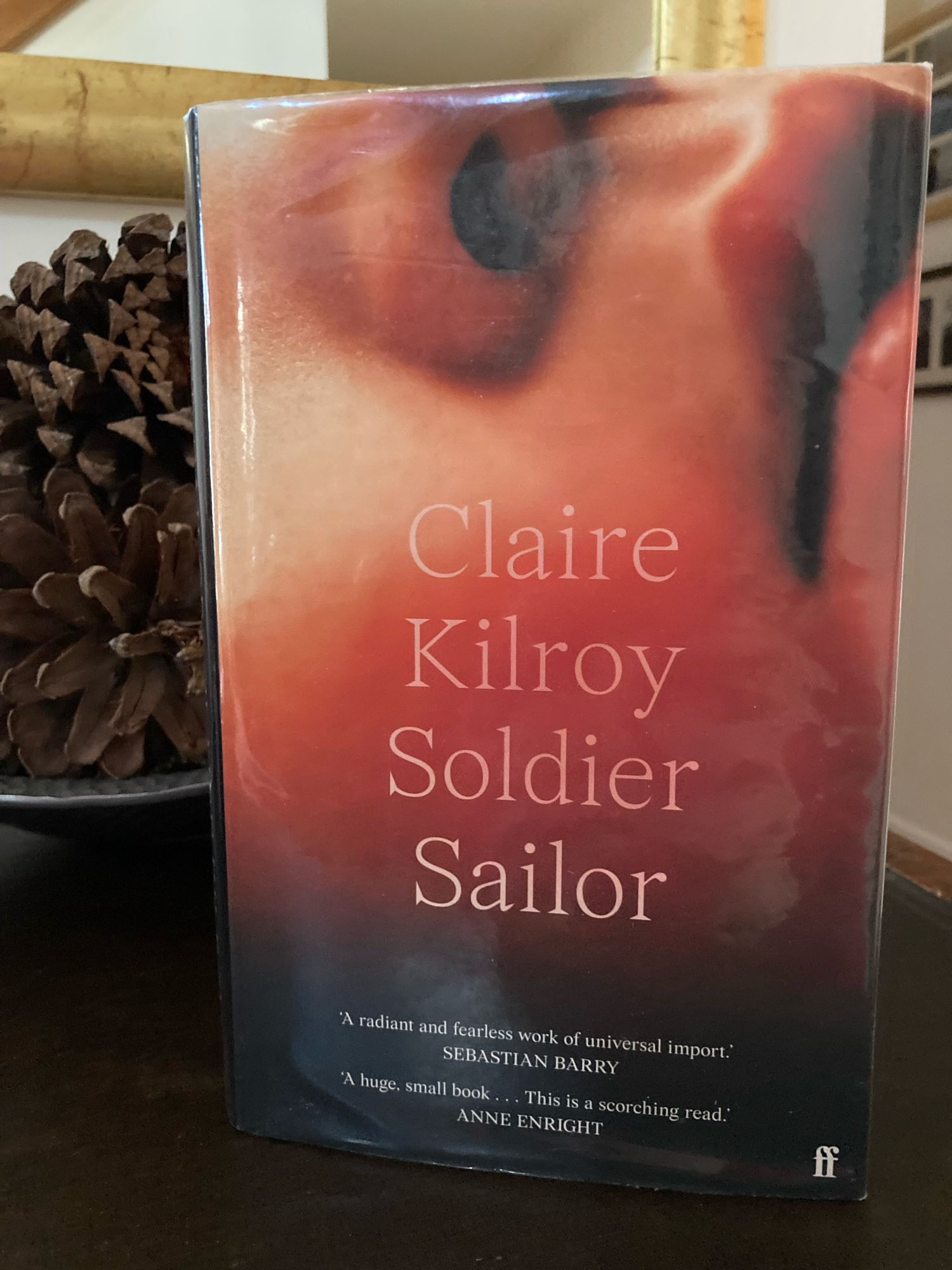 The cover of the novel ‘Soldier, Sailor’ by Claire Kilroy, which is a close-up of a face that could be either a baby, or a woman just showing nose and lips with the authors name in the title in white letters, superimposed on top
