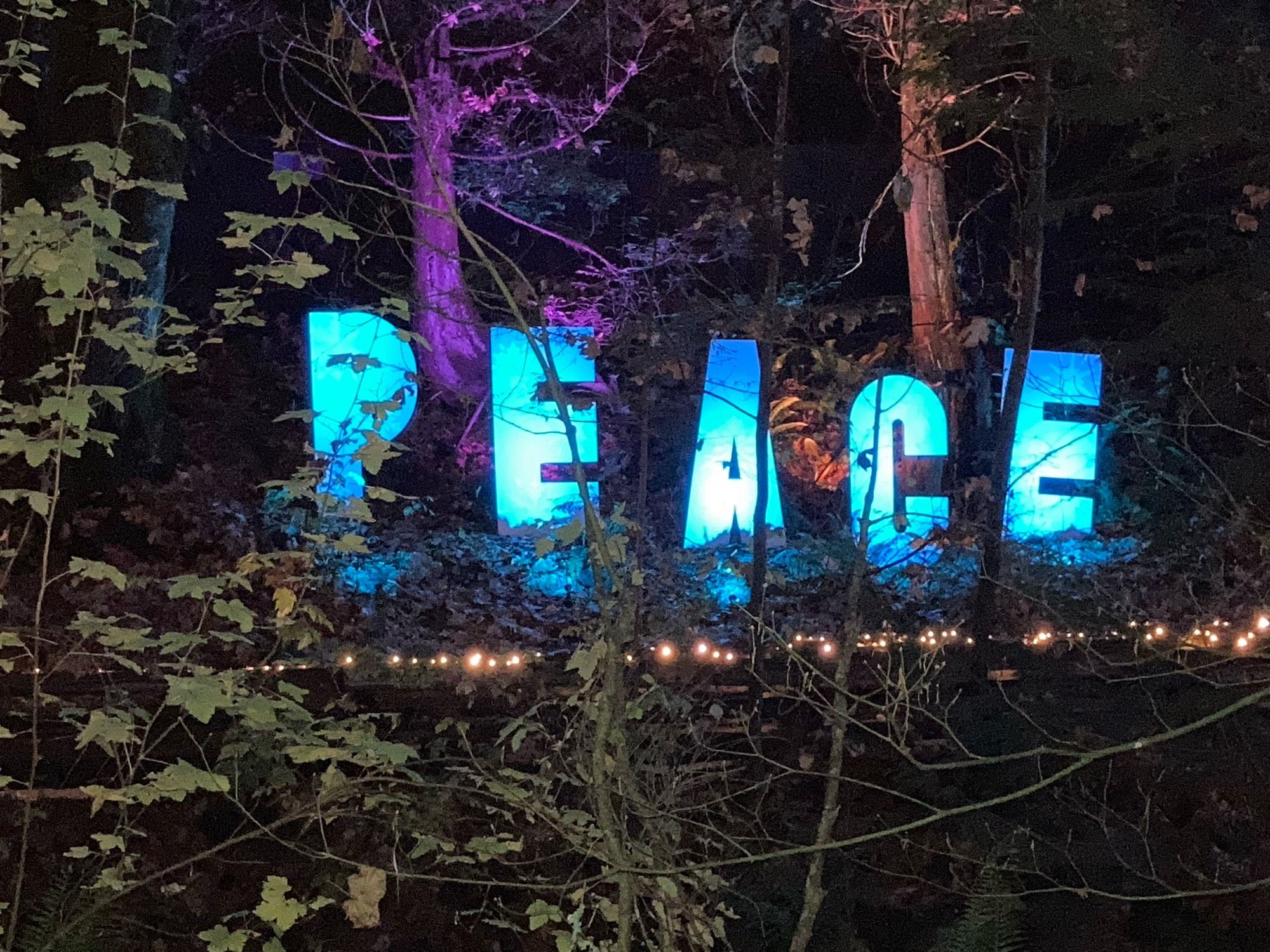 
Large white letters spelling “Peace” lit up by blue lights, against a backdrop of trees and foliage,  below which is a string of white Christmas lights.
