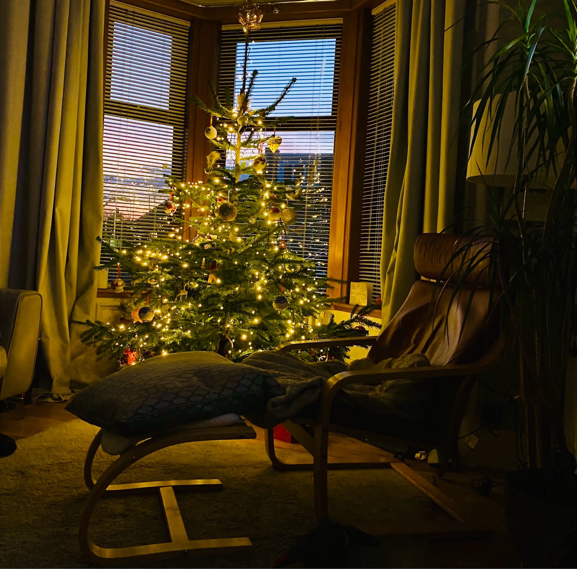 Fir tree festooned with lights in front of a bay window with foreground armchair and footstool with blanket and cushion.