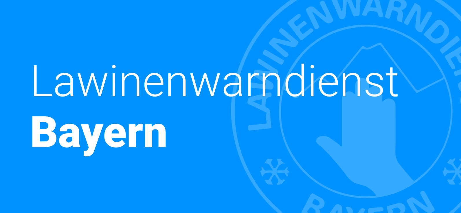 Logo des Lawinenwarndienstes