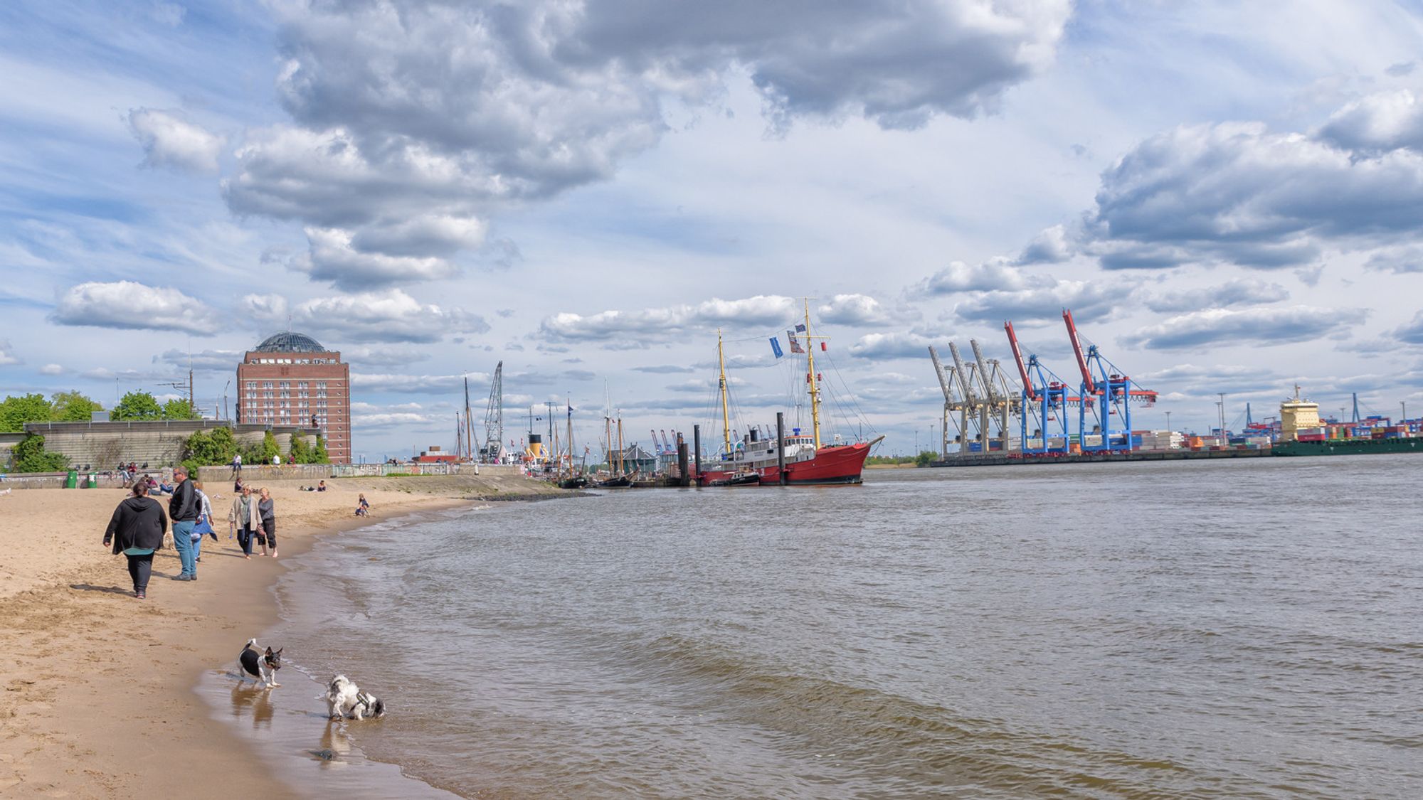 Elbstrand: zwei Hunde spielen am Wasser, Spaziergänger*innen sind zu sehen, Schiffe und Kräne, darüber ein Himmel mit vielen Wolken