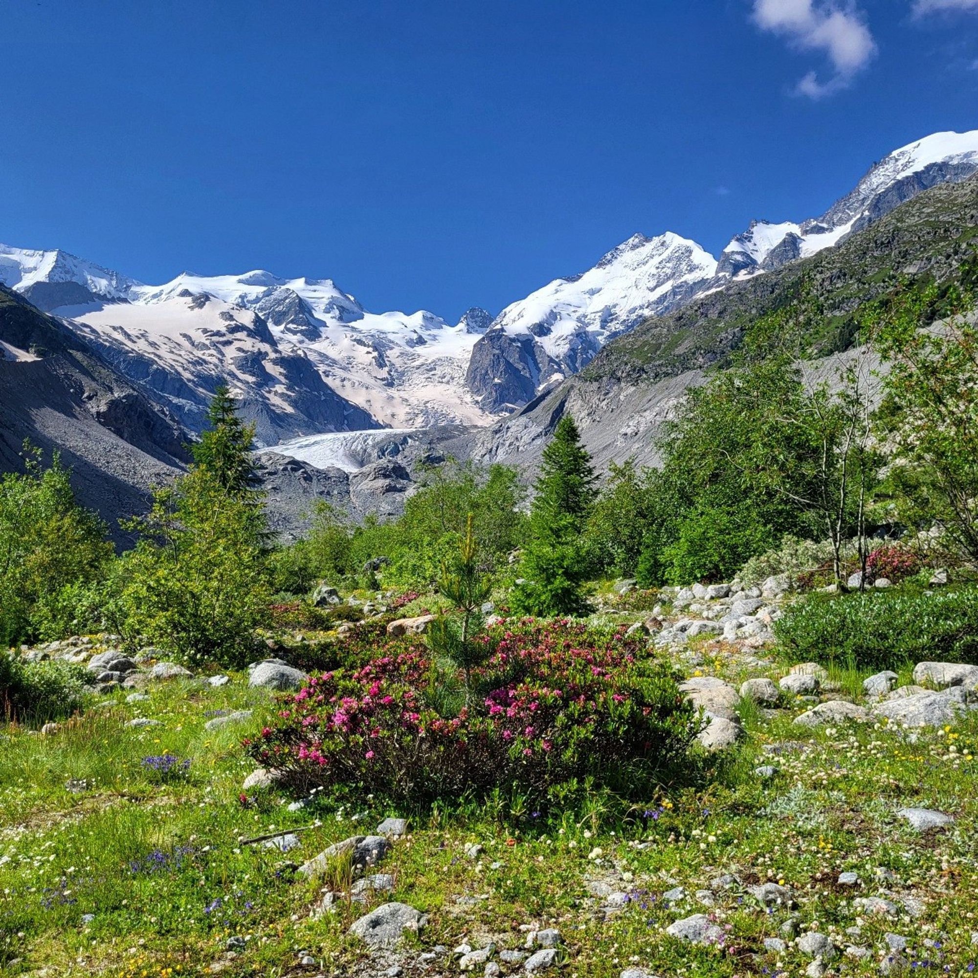 Engadin mountains 🌞 Mountain view
Piz Palü
Piz Bernina
Morteratsch Glacier