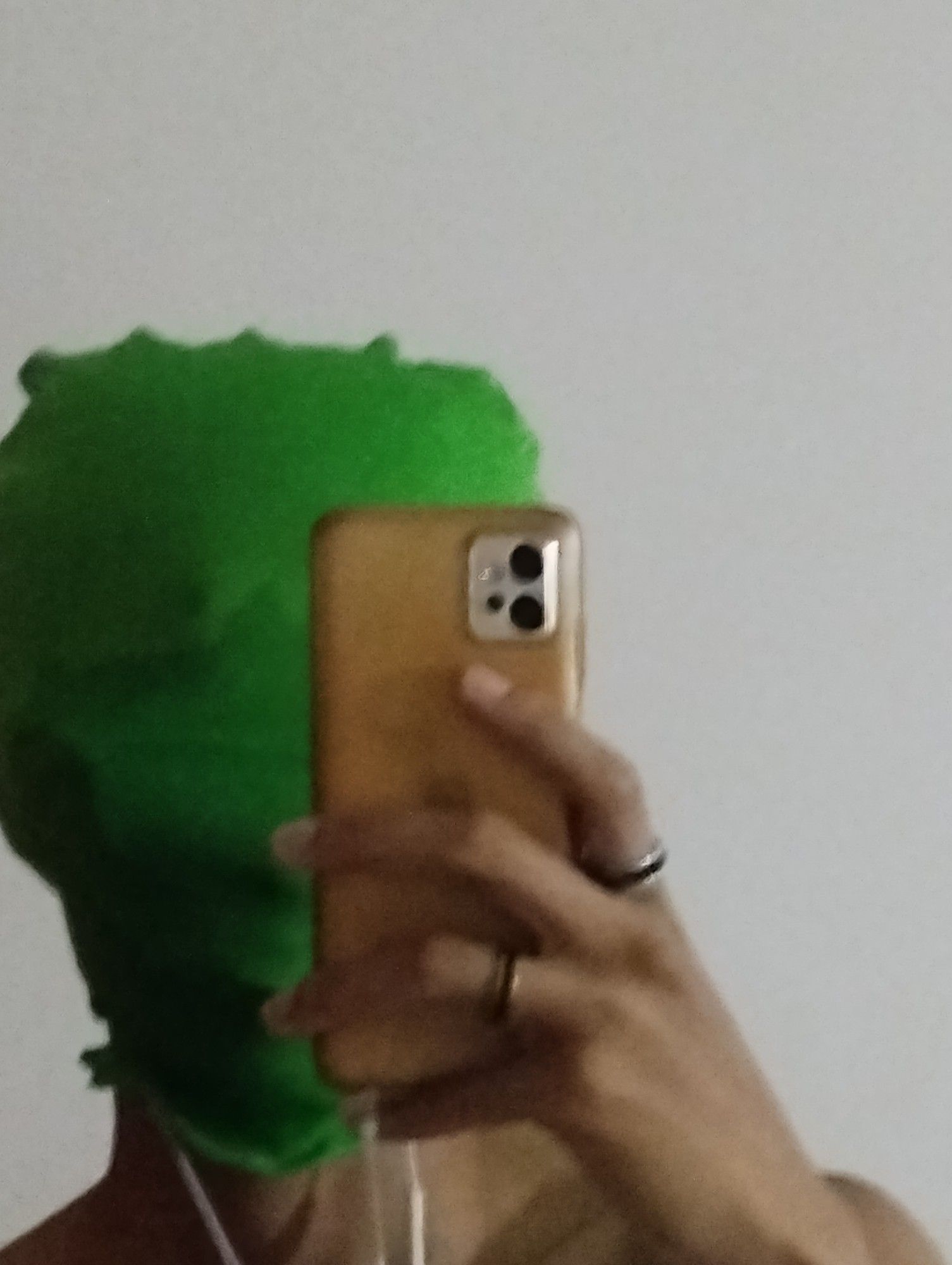 Pessoa vestindo a parte da cabeça de um chroma suit verde