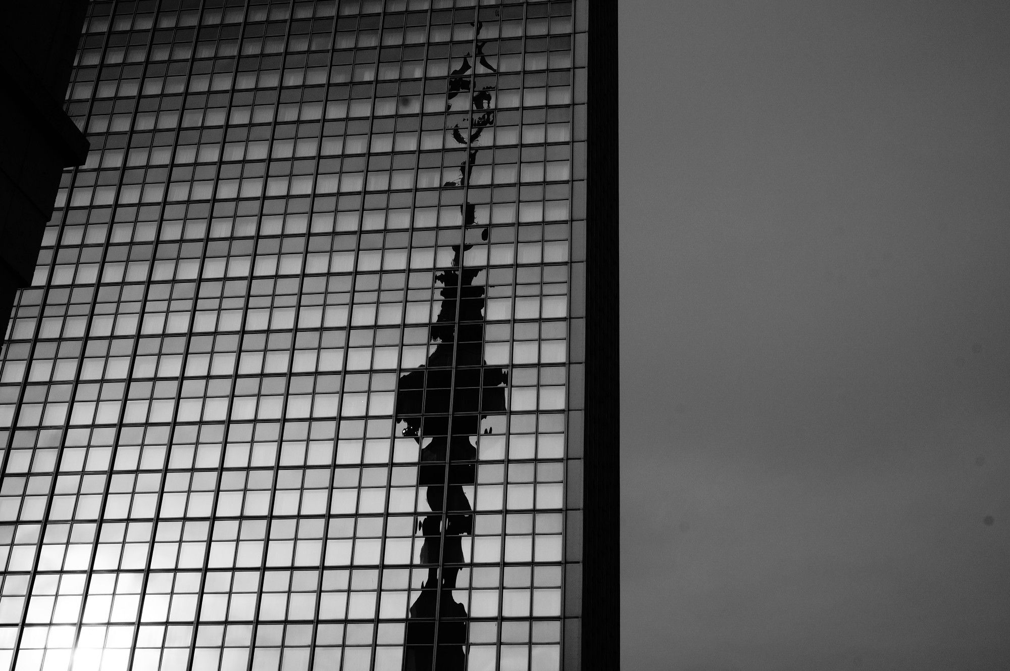 Das Bild ist schwarzweiß. Etwas mehr als die Hälfte wird von einem Hochhaus mit Scheiben die sich Spiegeln eingenommen. Es ist das ParkInn am Alexanderplatz. Einige Teile der Spiegelden Fenster ist durch den Schatten des Fernsehturm schwarz. Er hat keine scharfen Konturen sondern ist wellenartig an den Rändern. Der Rest vom Bild ist grau milchiger Himmel.