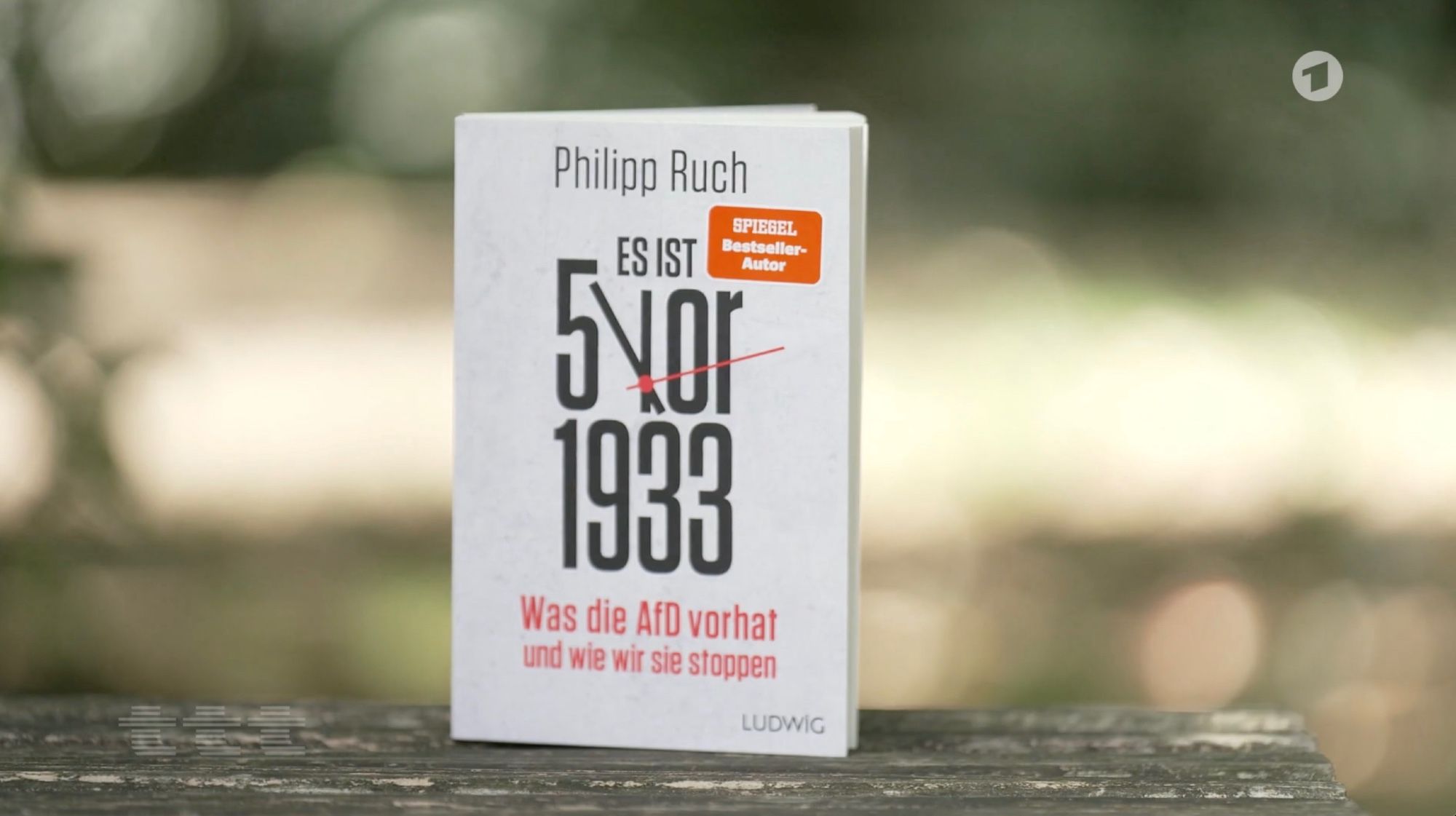 Buch: Es ist 5 vor 1933!