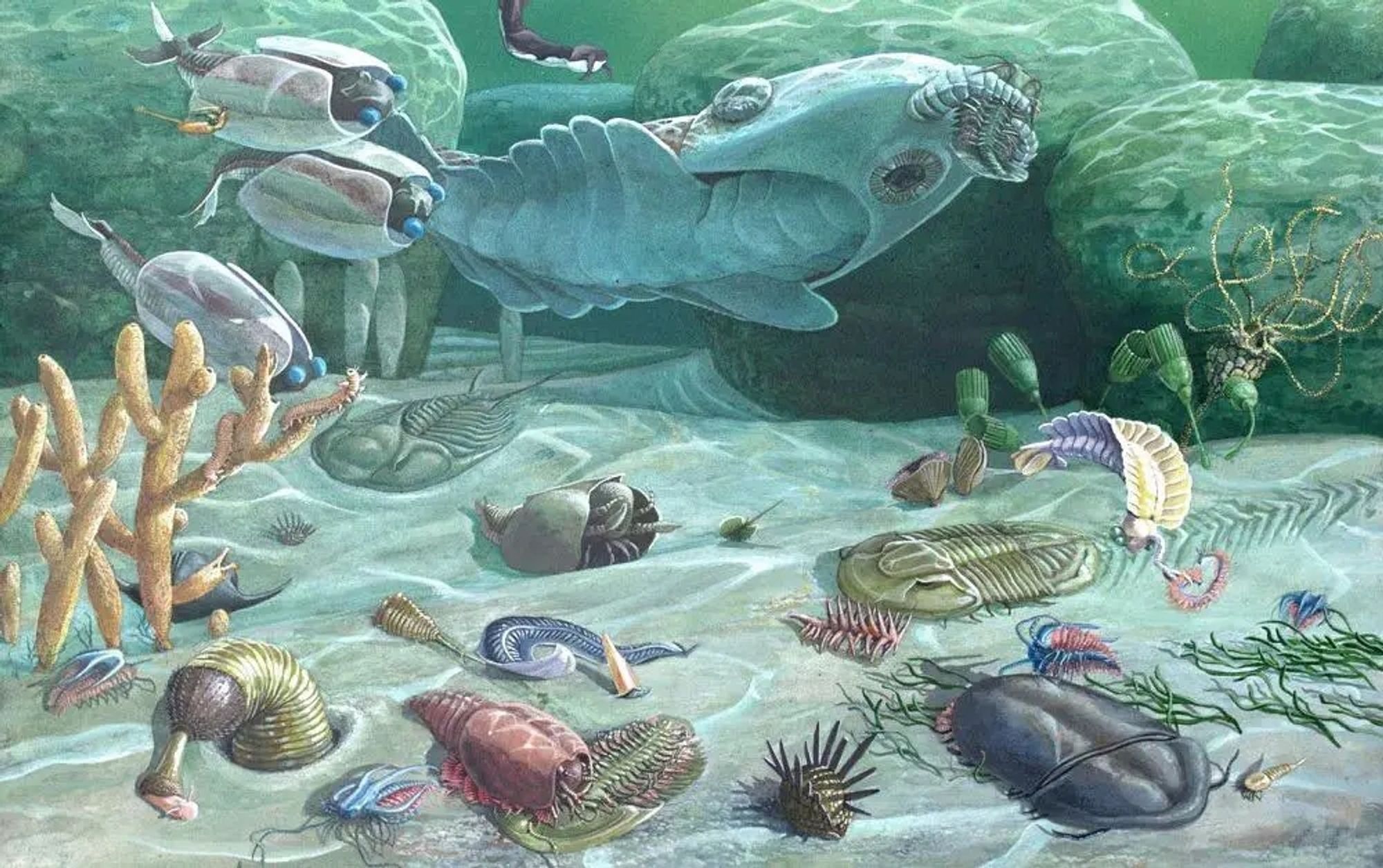 A Cambrian sea floor, crowded with bizarre and nightmarish animals. A trilobite is the normal dude surrounded by spiky wormy toothed horrors, several with too many eyes.