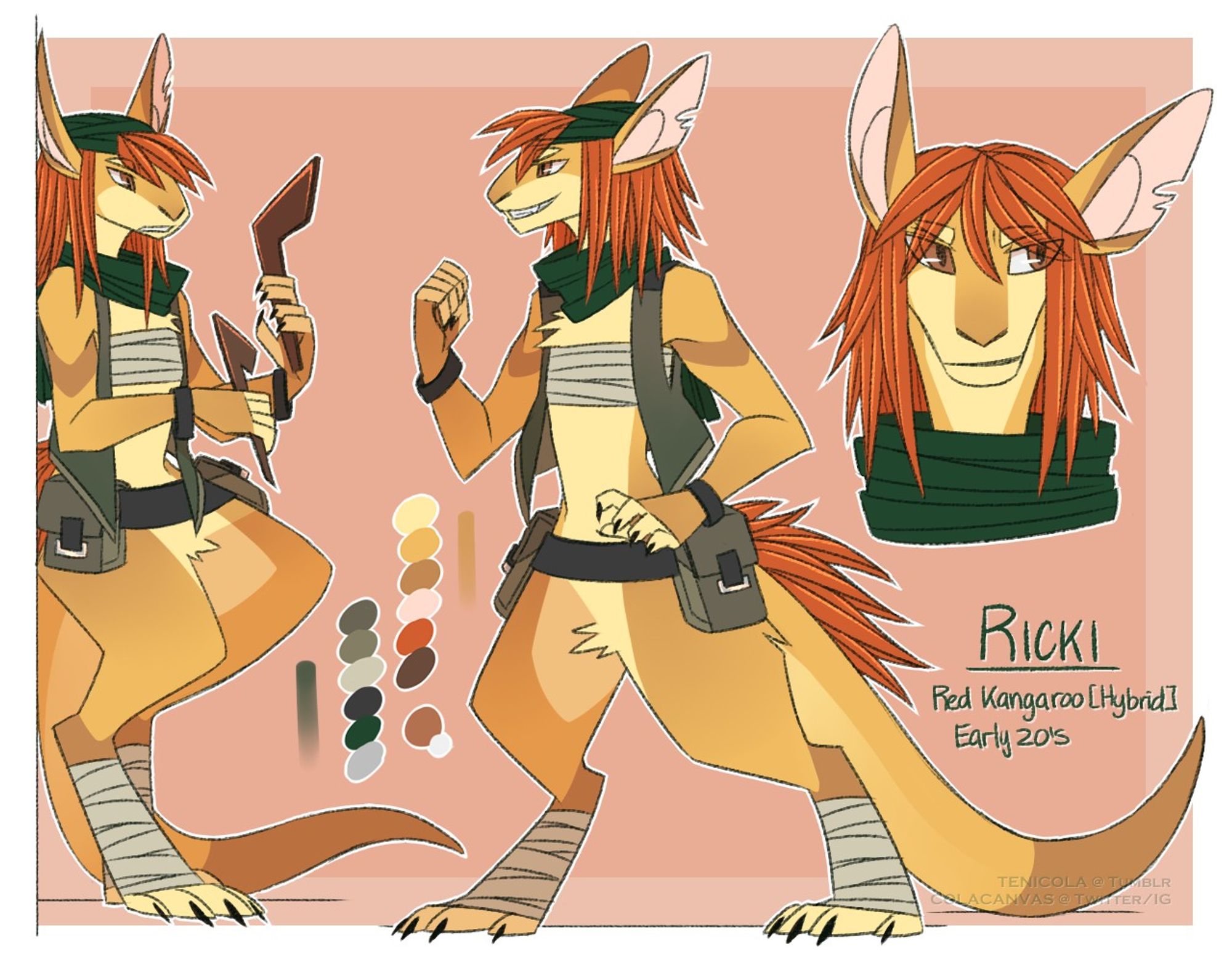 Reference artwork of my character Ricki, as he appears in his anthro kangaroo form.