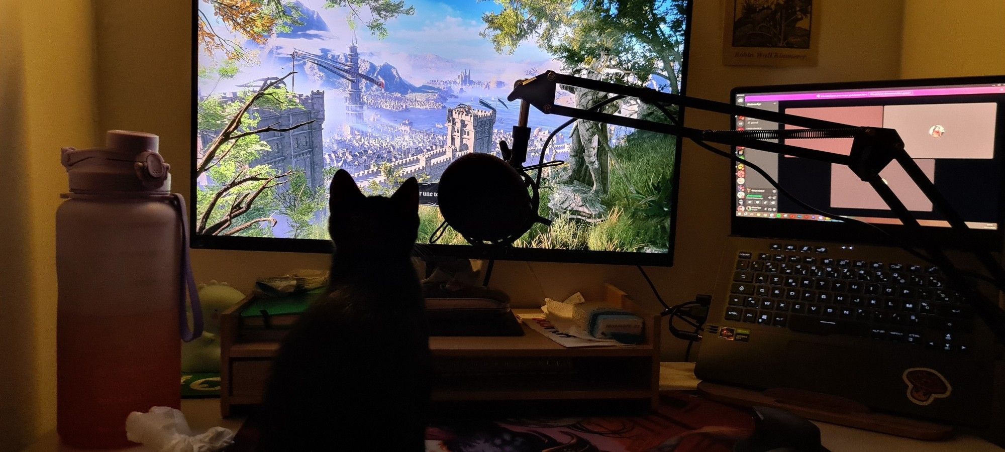 Petit chat qui regarde l'écran de chargement de BG3