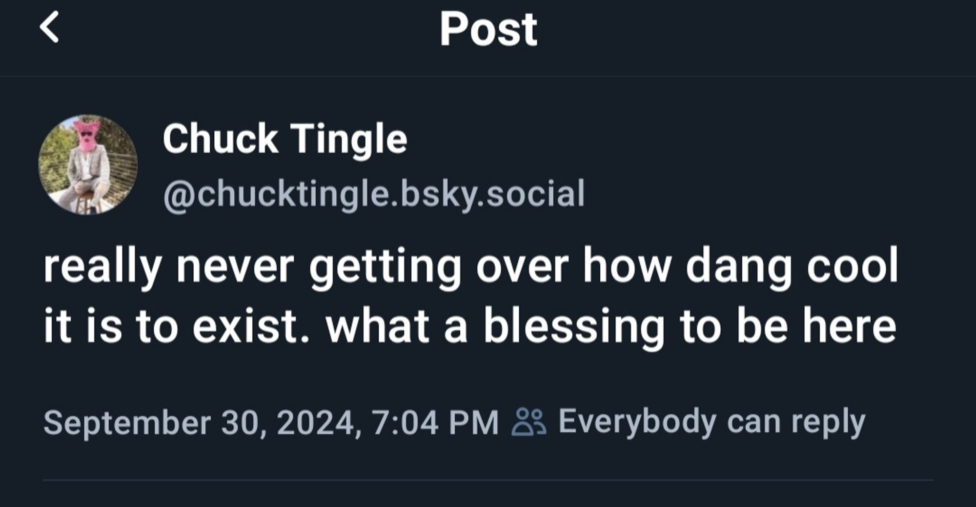 screenshot of Chuck Tingle bsky post "really never getting over how dang cool it is to exist. what a blessing to be here"