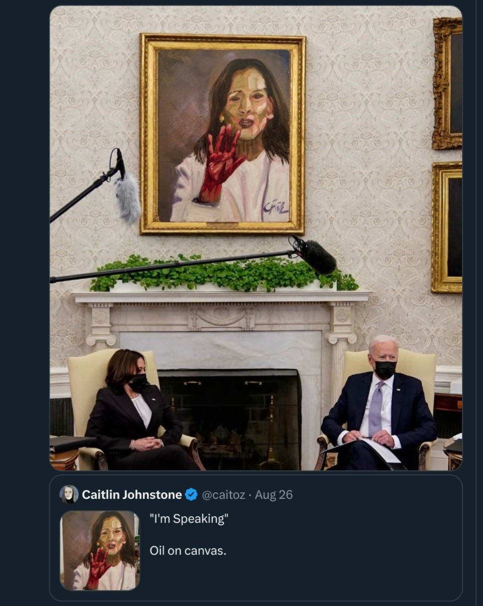 https://thealtworld.com/caitlin_johnston/from-aaron-bushnell-to-im-speaking-in-five-months