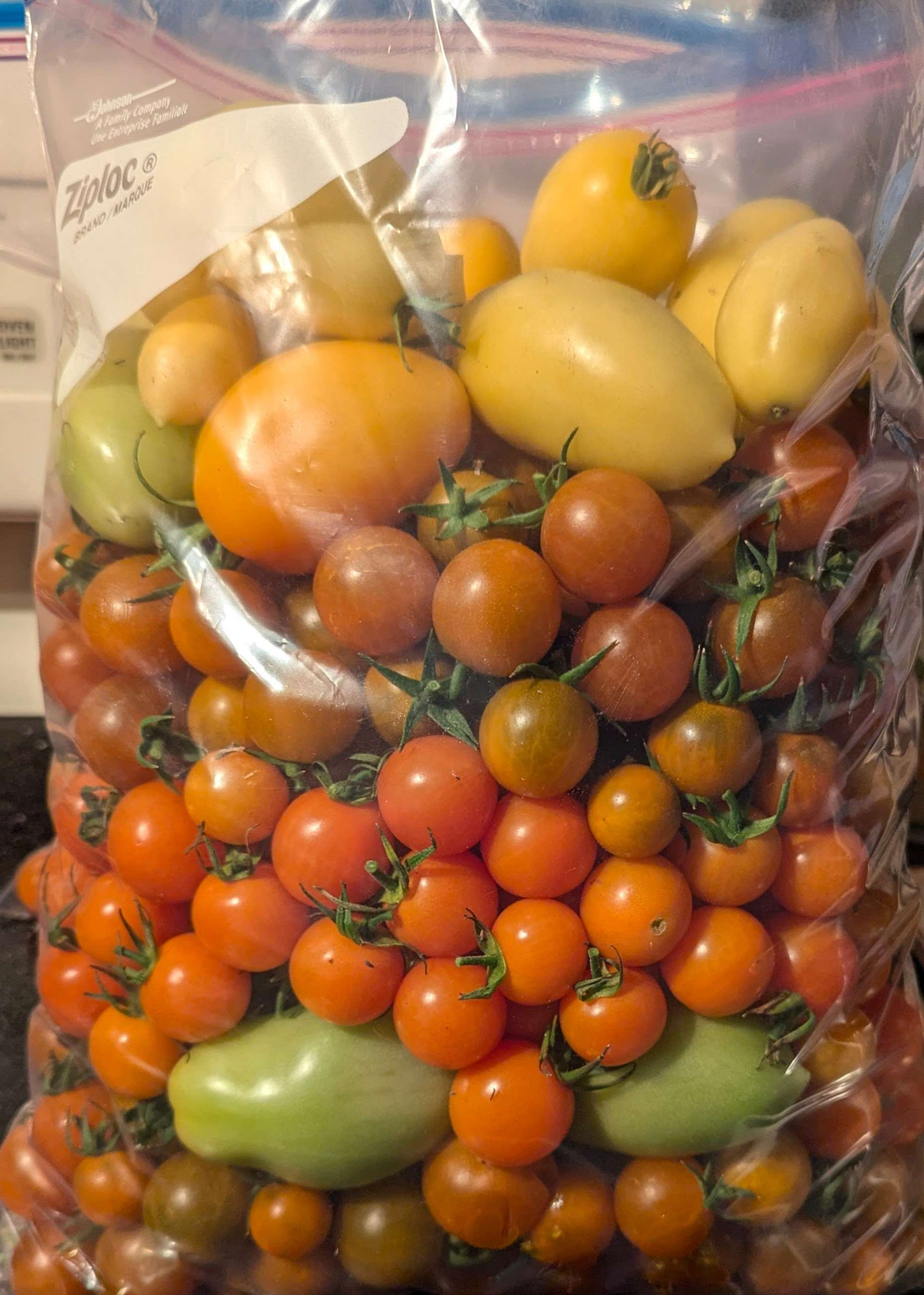 Variously colored and sized tomatoes in a plastic bag. They range from green, to yellow, orange, and red, and from medium to large in size.