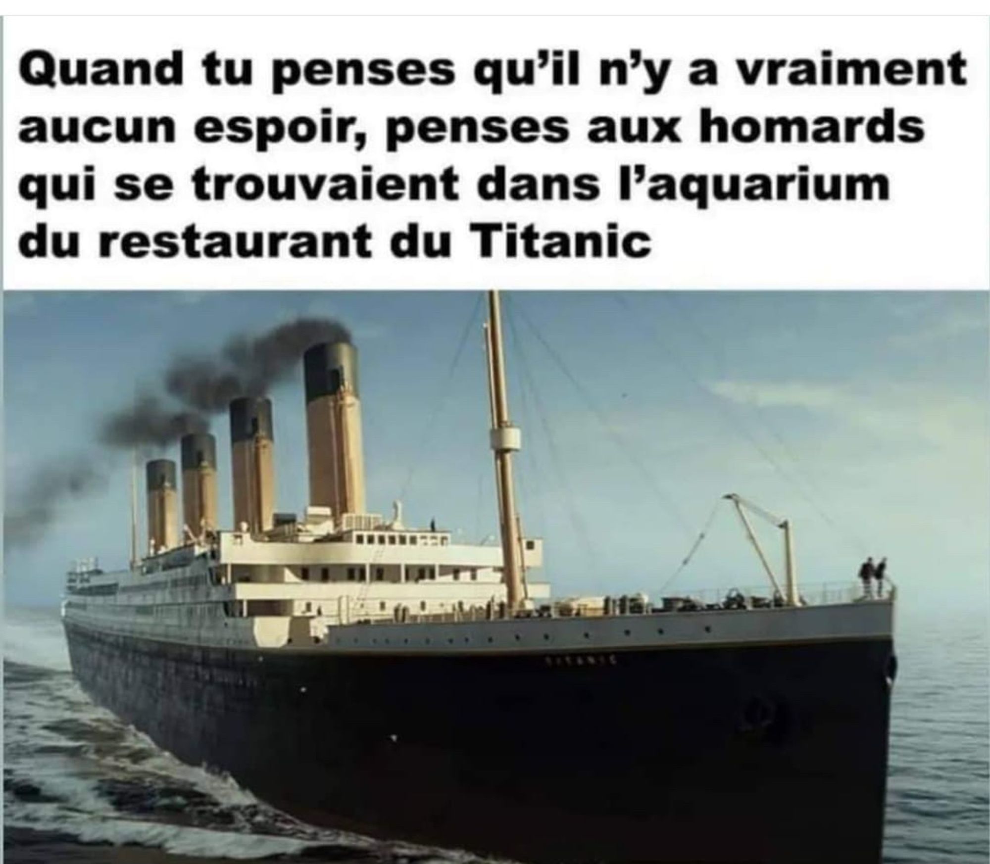 image du Titanic fendant fièrement les flots avec marqué au-dessus : "Quand tu penses qu'il n'y a vraiment plus aucun espoir, pense aux homards qui se trouvaient dans l'aquarium du restaurant du Titanic".
oui j'ai corrigé la faute à pense à l'impératif qui est écrit avec "s" à la fin alors qu'il n'en faut pas pour les verbes du premier groupe.
Je sais que ce n'est pas respecter le texte exact du panneau trouvé sur Facebook mais c'est plus fort que moi.