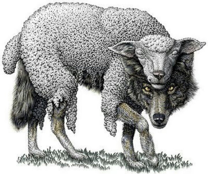 Dessin d’un loup revêtu d’une peau de mouton.
Origine et dessinateur inconnus