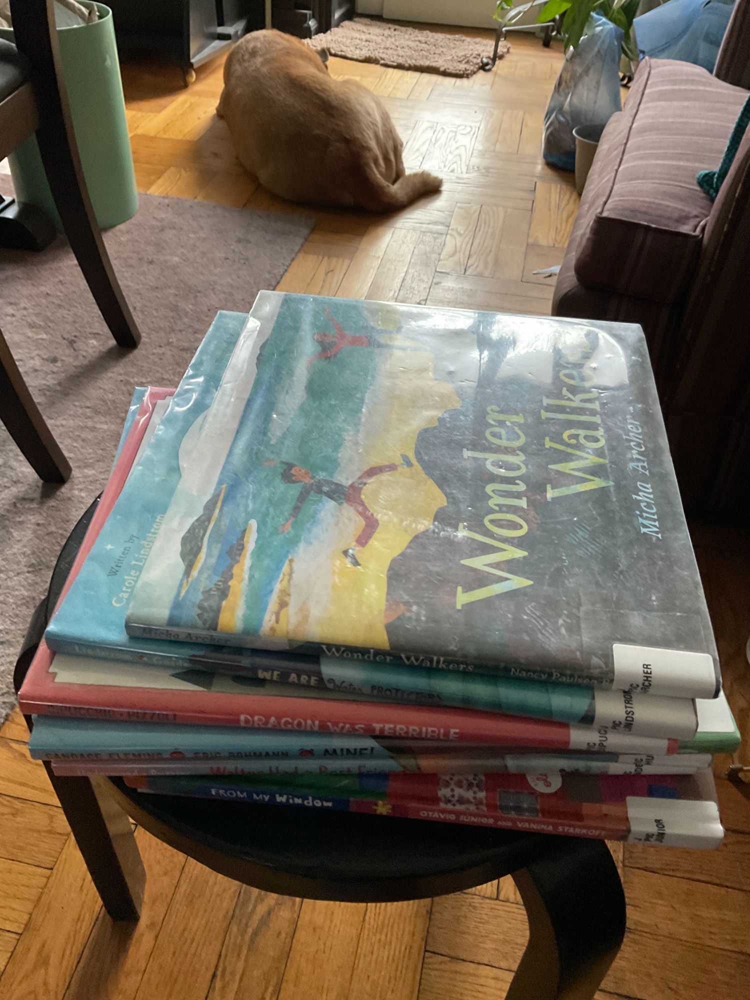 A stack of picture books from the NYC library with my pup, Hanna, in the background