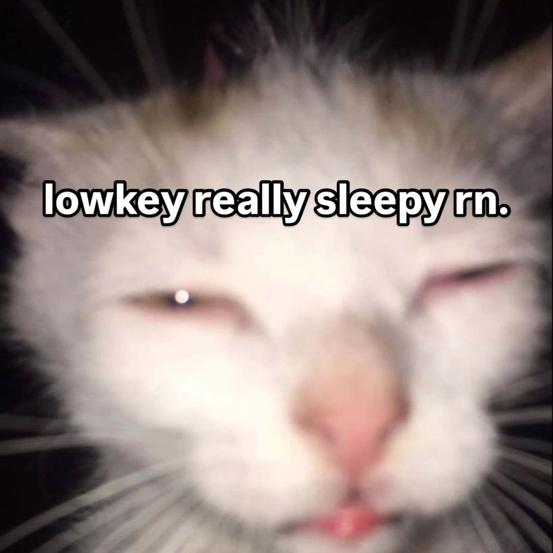 A blurry, close-up picture of a cat with the caption: Lowkey really sleepy rn.