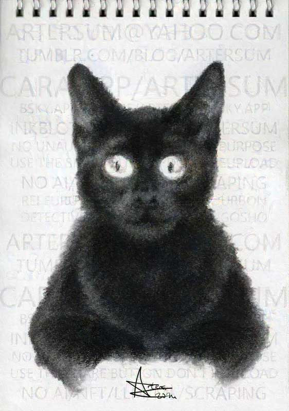 charcoal portrait of a black cat staring straight ahead