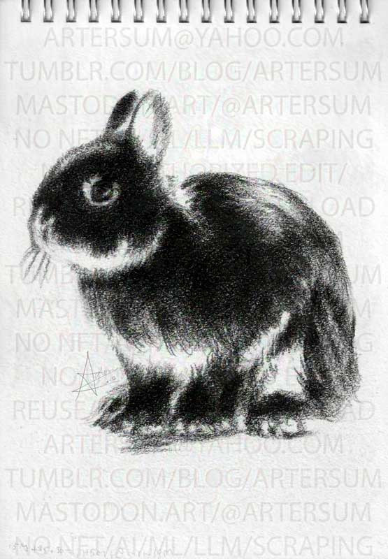 charcoal drawing of a little black and white bunny on sketch pad