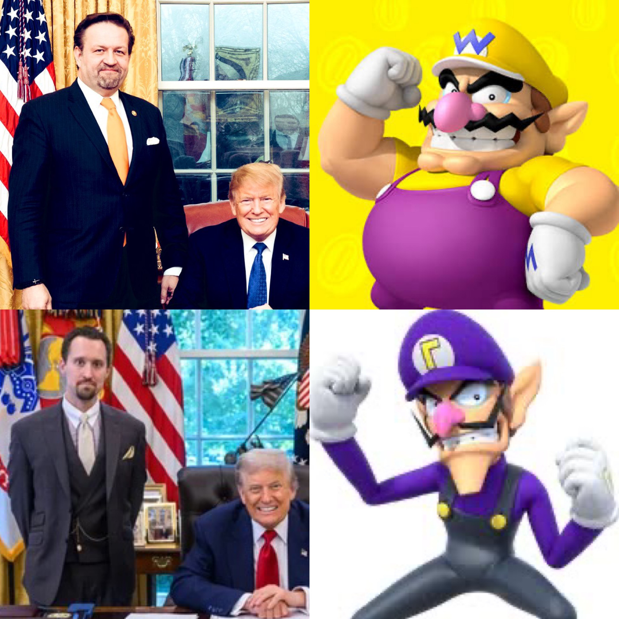 A quad box. Top left - Sebastian Gorka in Oval Office with Trump. Top right - Wario. Bottom left - EJ Antoni in Oval Office with Trump. Bottom right - Waluigi. 