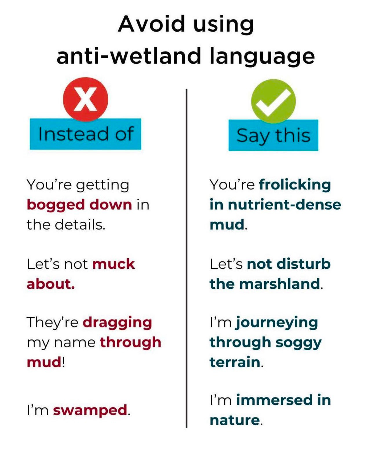 a chart advising that we "avoid using anti-wetland language"