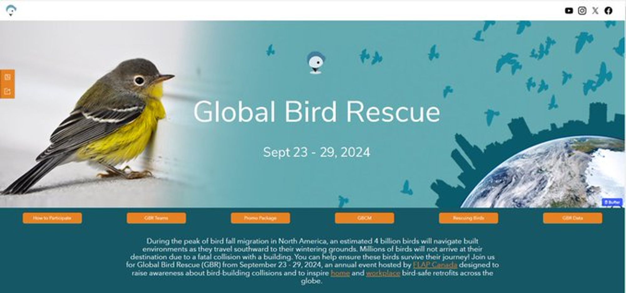 Screen capture of the webpage for the Global Bird Rescue, see link in post