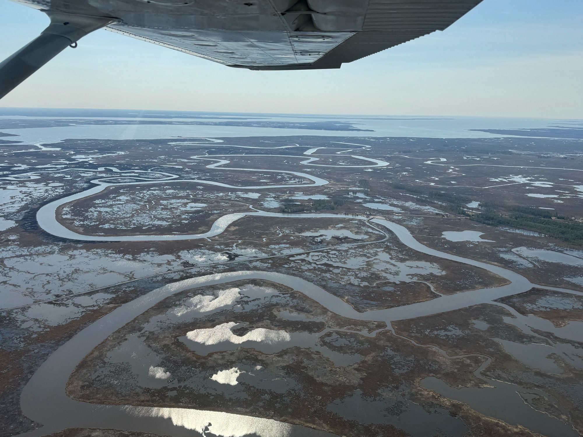 Blackwater River within the Blackwater Wildlife Refuge