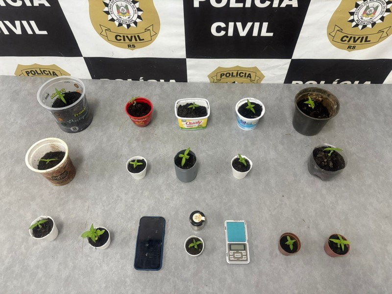 A table at a police station with a few tiny marijuana plants. #DrugBust
