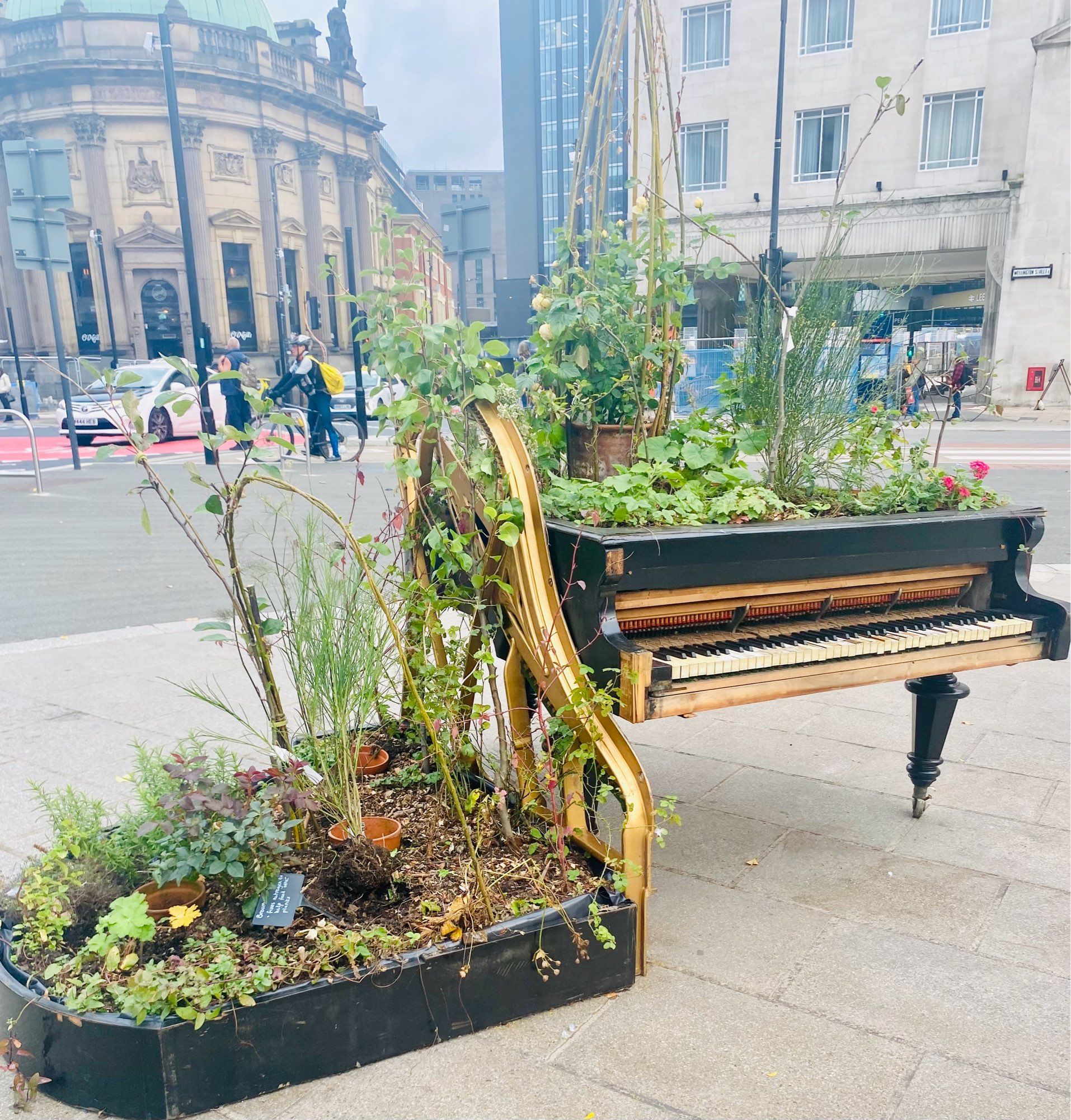 Piano with vegetables