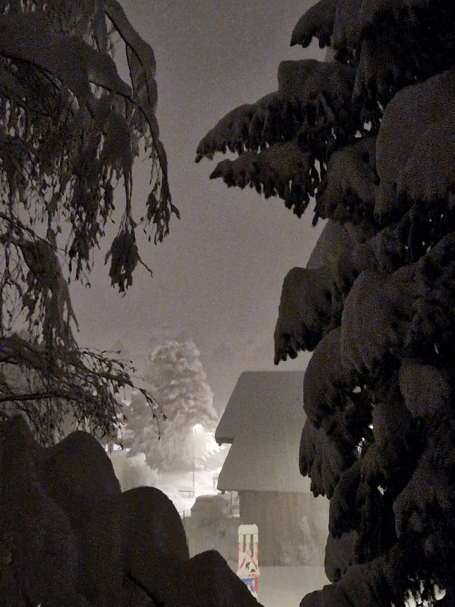 Winter verschneite Bäume und Häuser in der Nacht