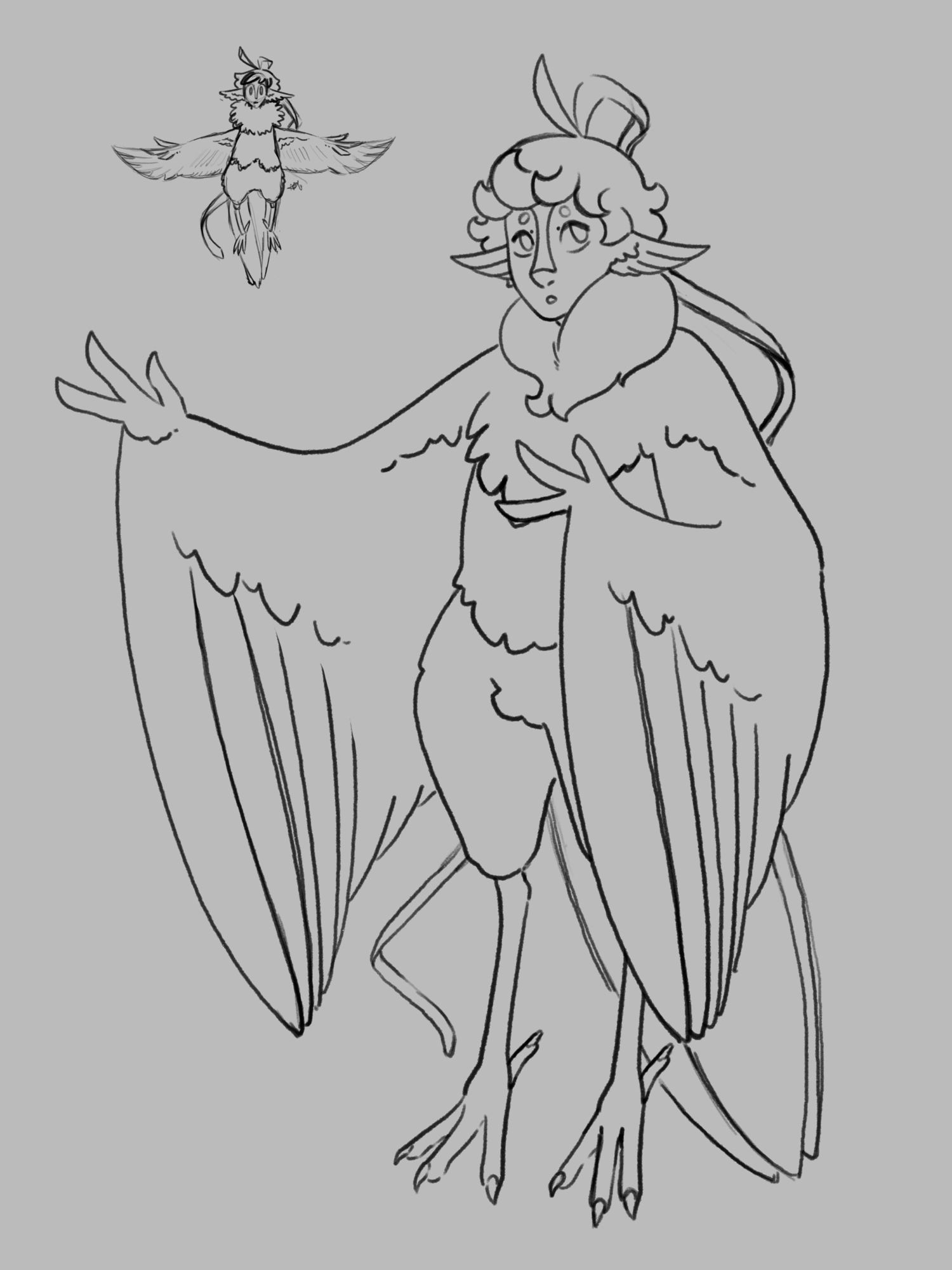 A digital sketch of a harpy character design. He’s posed with one wing held to his chest and the other stretched out. He has a humanoid face, a feathered neck floofy, curly hair with a long single feather ponytail, and song bird-esque legs/feet