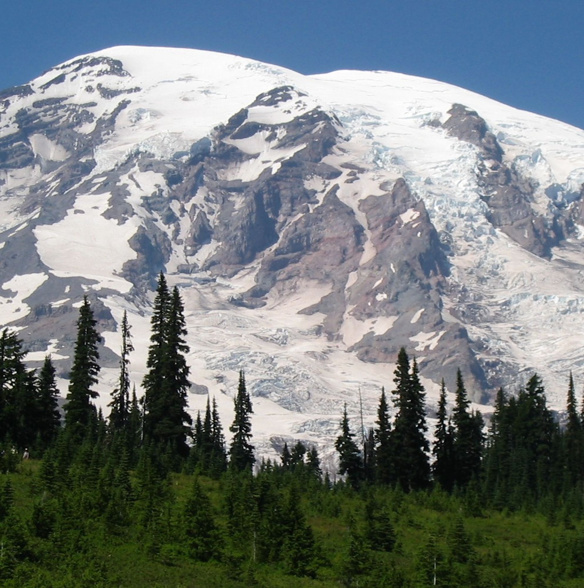 mount rainier in washington state