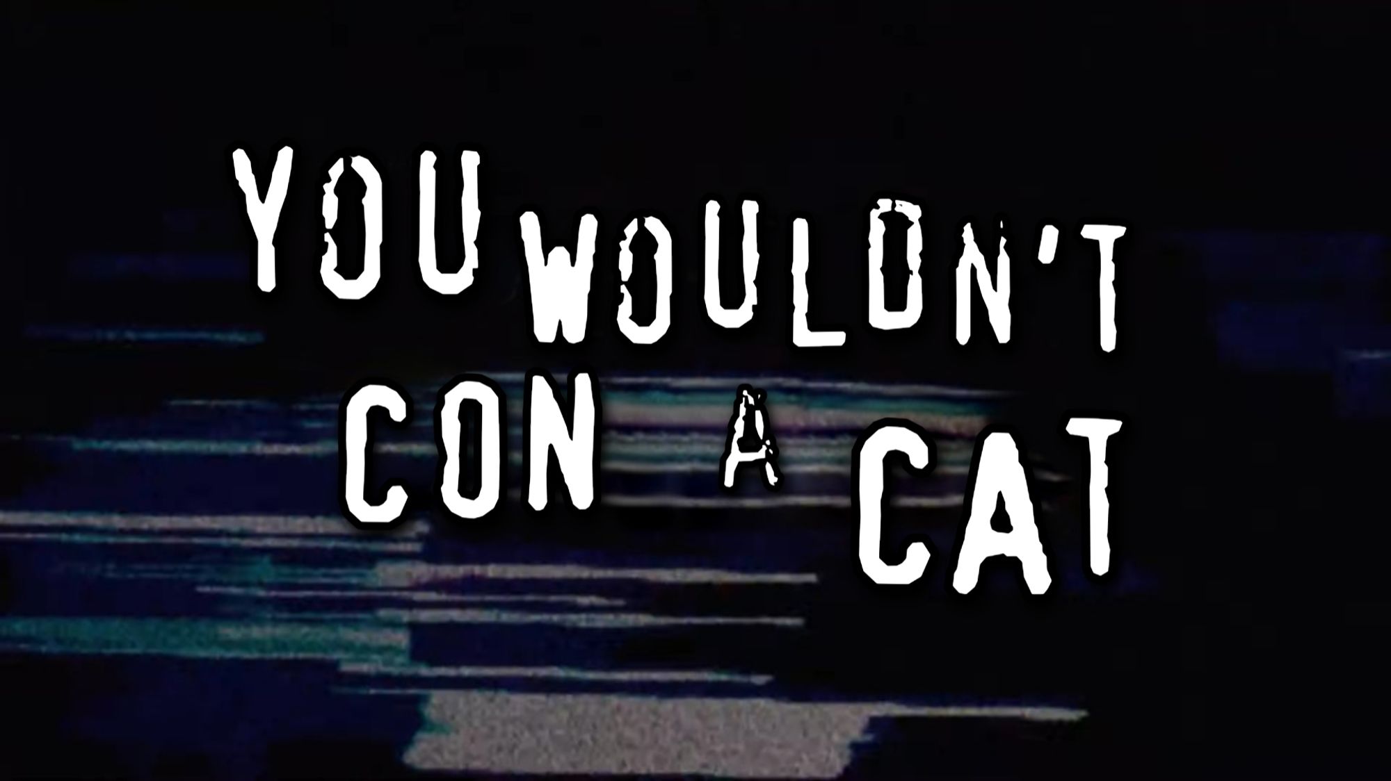 You wouldn't con a cat meme