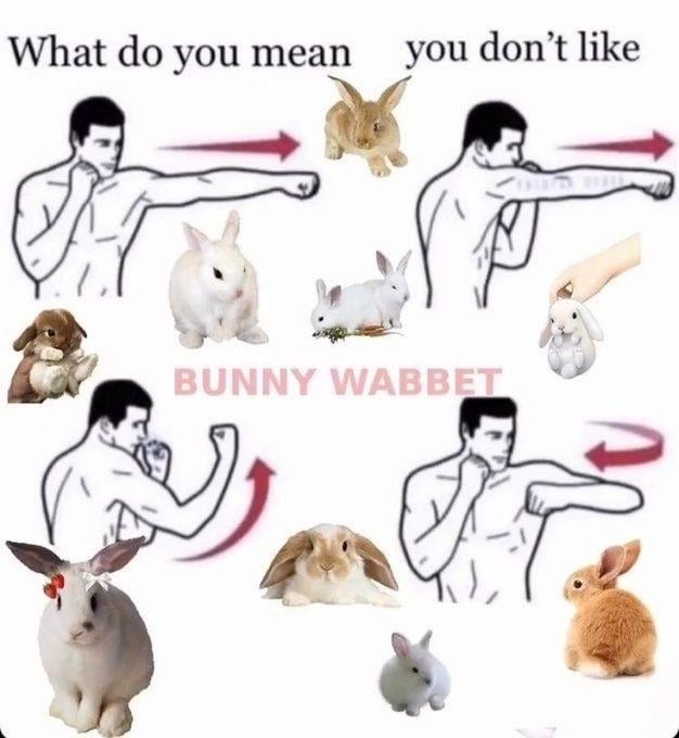 a diagram of a man fighting. the top caption in black text reads "what do you mean you don't like". the middle caption in pink text reads "bunny wabbet". there are pictures of random bunnies all over the image