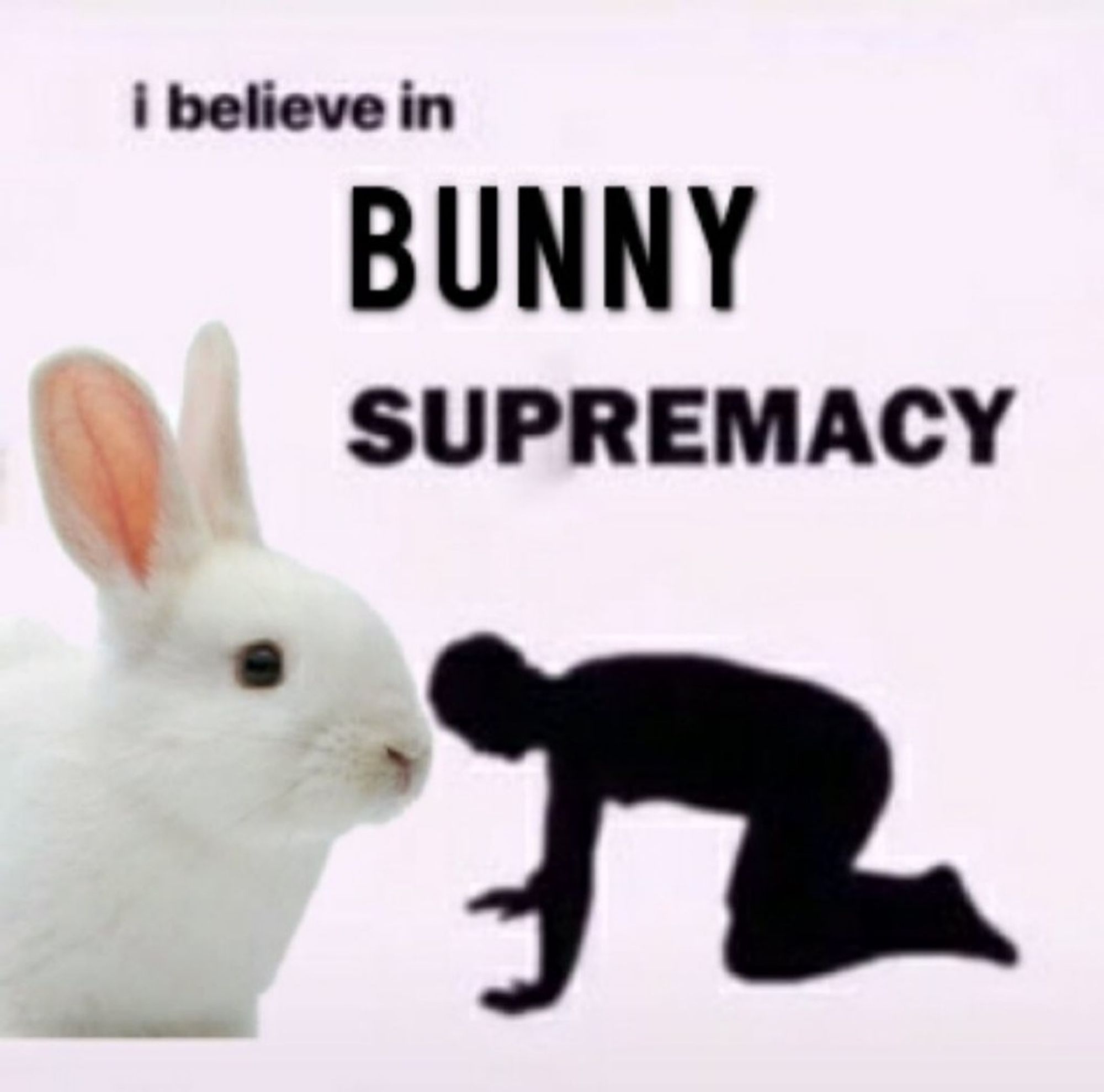 on the bottom left corner of the image is a white bunny looking to the right and whose ears are standing up. to the right of the bunny is a silhouette of a man on his hands and knees. above both can be found the text "i believe in BUNNY SUPREMACY"