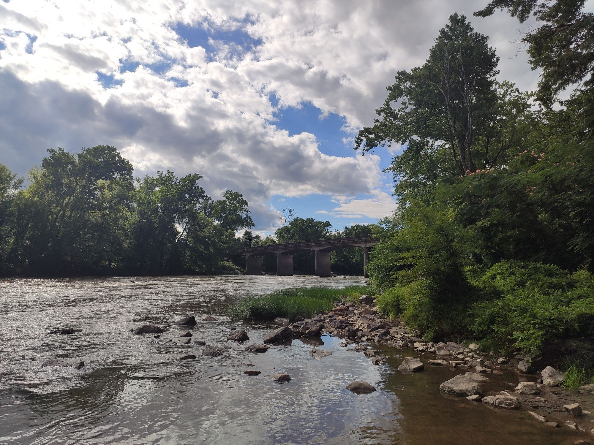 French Broad river in summer with green trees on both sides and bridge in the background