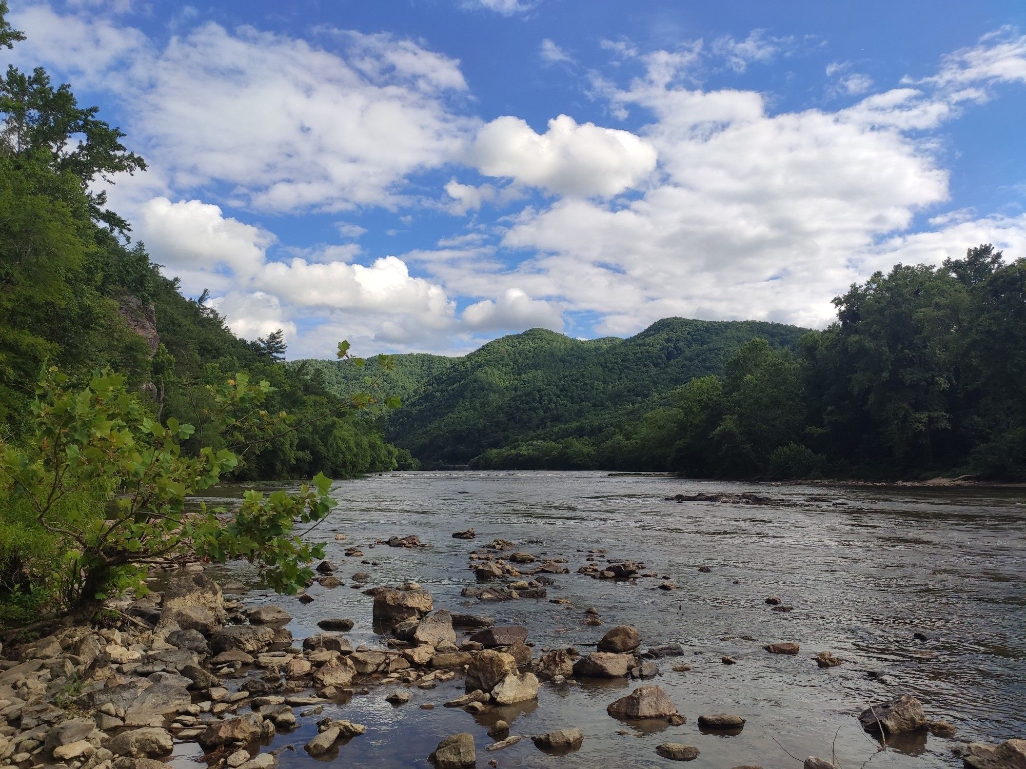 French Broad river in summer with cobbles in the foreground and green hills in the background