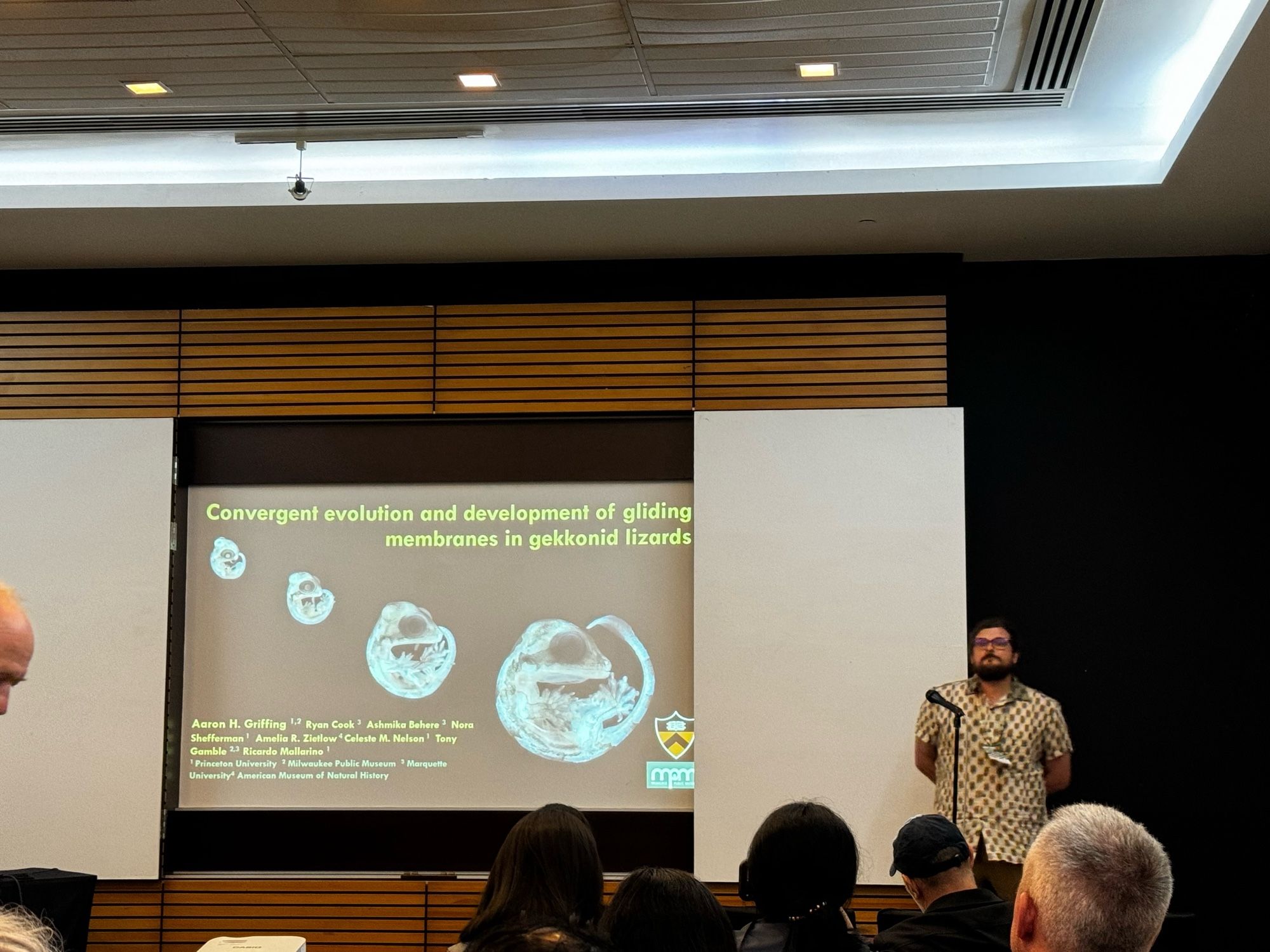 Photo of presentation title slide with images of gecko embryos and text saying, “convergent evolution and development of gliding membranes in gelling lizards”