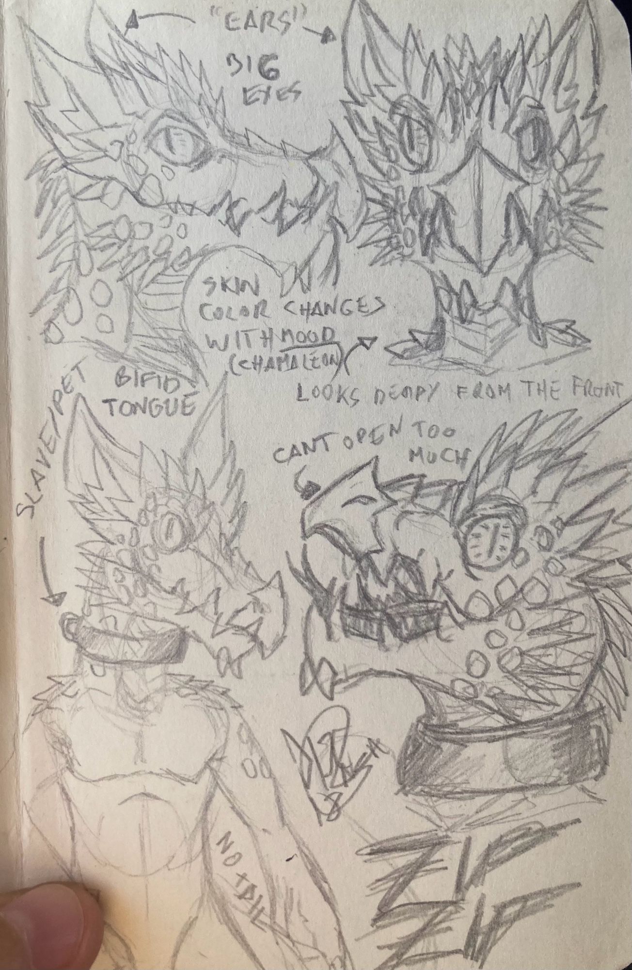 A sketch page of a kobold character made on pencil. There are two headshots on the top part, one from the side and other from the front. There is also a half body and another headshot with an open mouth. Some notes say “ears”, “big eyes”, “skin color changes with mood (chameleon)” , “looks derpy from the front”, “bifid tongue”, “cant open too much (pointing the mouth)”, “slave/pet (ponting to a metal collar)”, “no tail”.