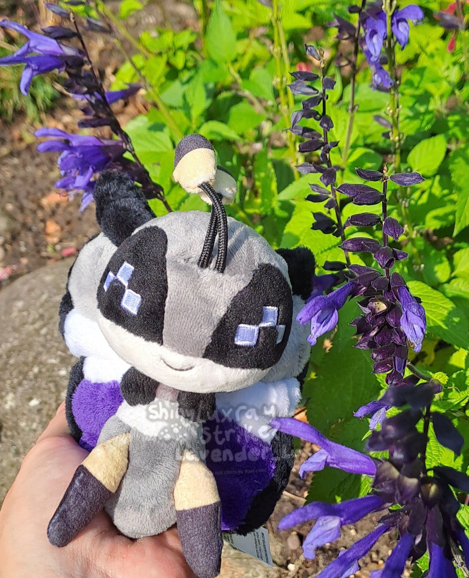 An official pokemon center Vivillon plush with customized wings in the ace pride colors