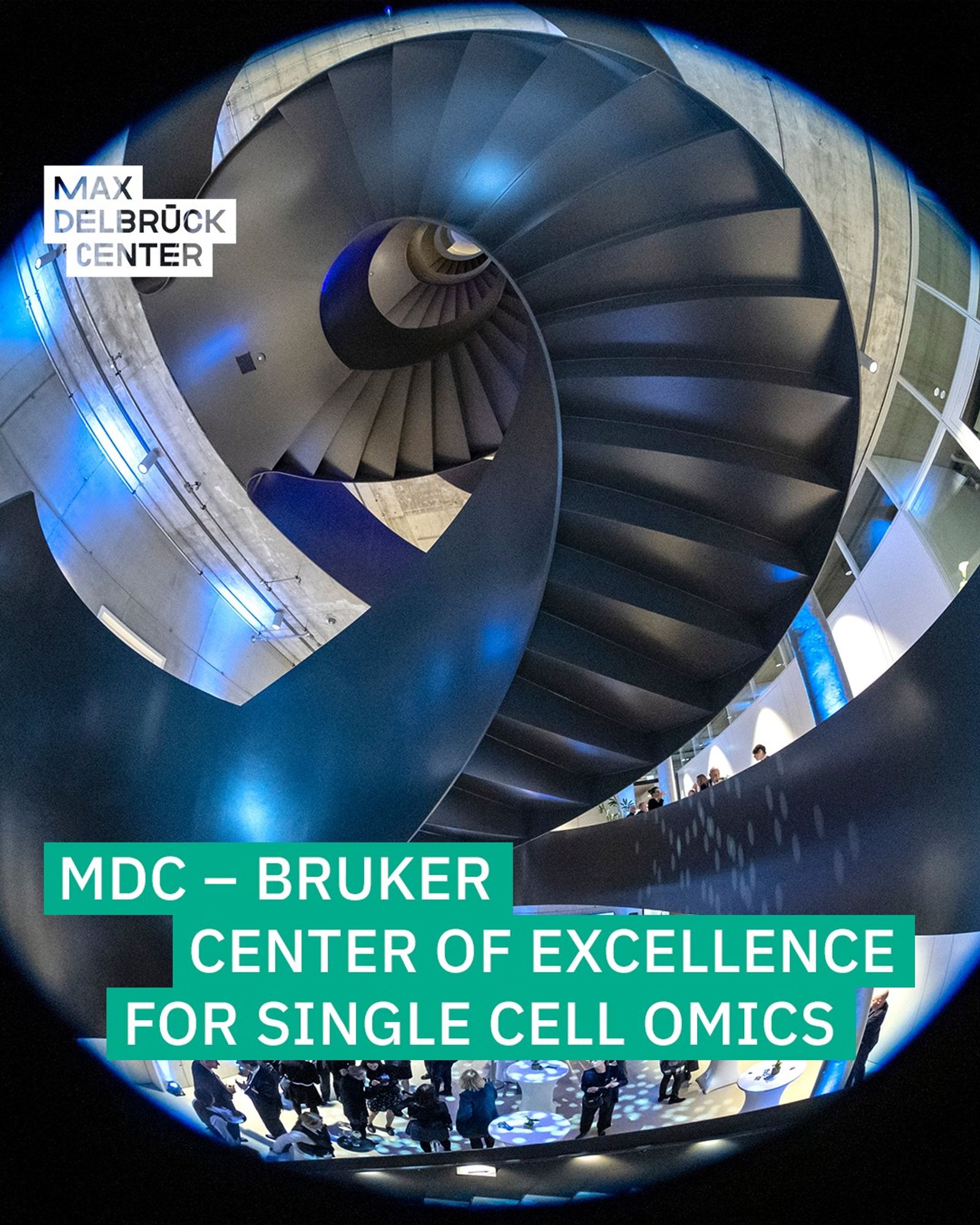 Graphic with text: the photo shows the main staircase at MDC-BIMSB. The text reads: "MDC-Bruker Center of Excellence for Single Cell Omics."