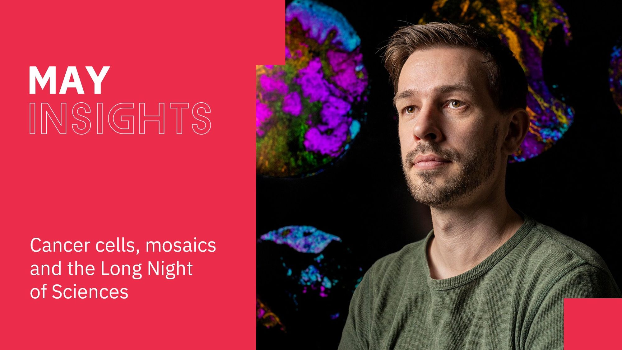 Graphic: On the right, it shows Fabian Coscia in front of a scientific image; on the left, there's text on a red background that reads: "MAY INSIGHTS: Cancer cells, mosaics and the Long Night of Sciences." Image: © Pablo Castagnola, Max Delbrück Center