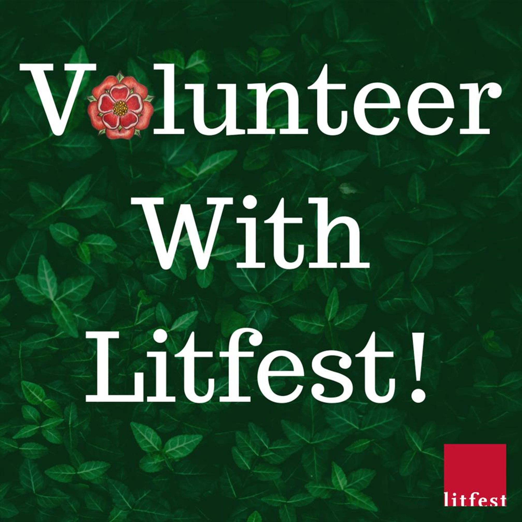 Against a dark green leafy background, white text Volunteer with Litfest. 