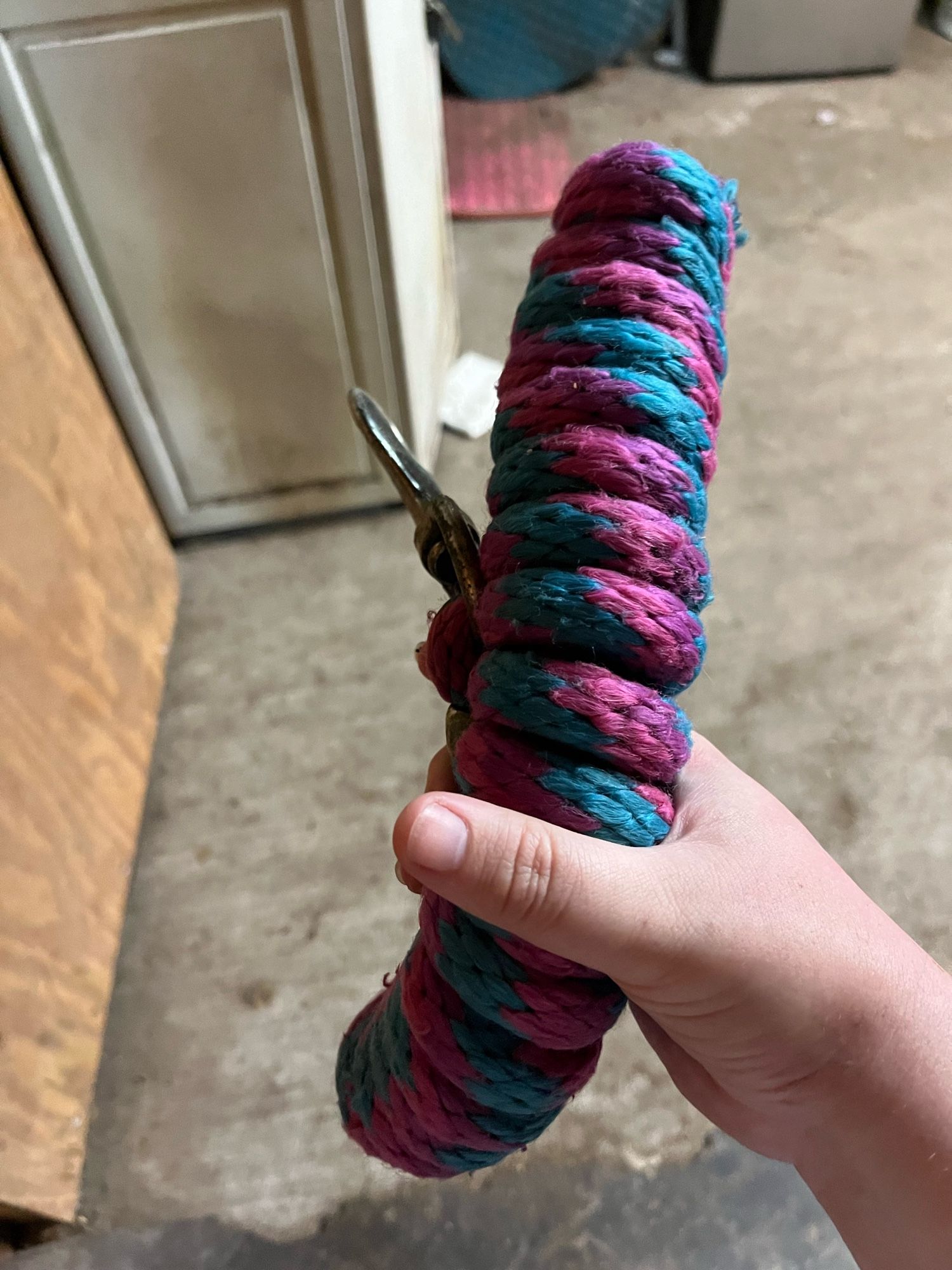 Pink, purple and blue lead rope