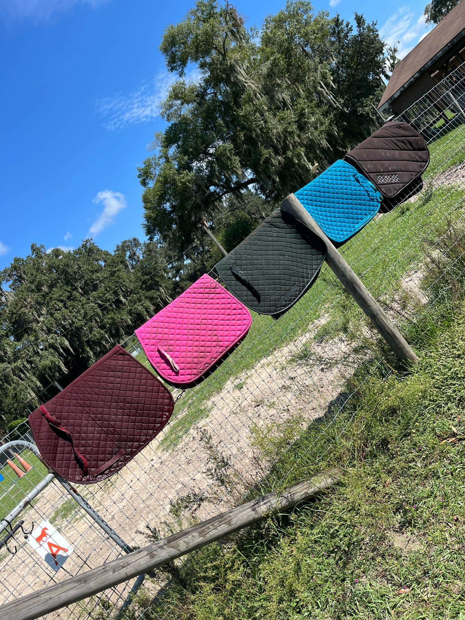 5 recently rinsed off berry, bubblegum pink, hunter green, aqua blue and brown saddle pads lined up to dry on a fence in the sun