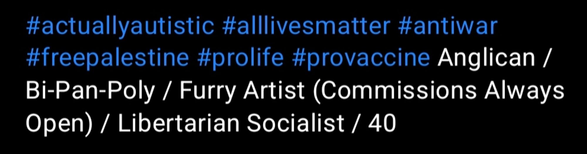 #actuallyautistic #allivesmatter #antiwar #freepalestine #prolife #provaccine Anglican / Bi-Pan-Poly / Furry Artist (Commissions Always Open) / Libertarian Socialist / 40