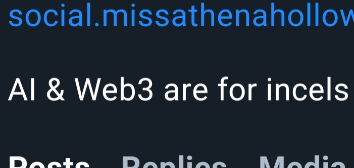 A screenshot of my profile that says "A I and Web 3 are for incels"